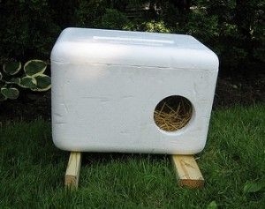 8 Photos Cooler Cat House And Review - Alqu Blog