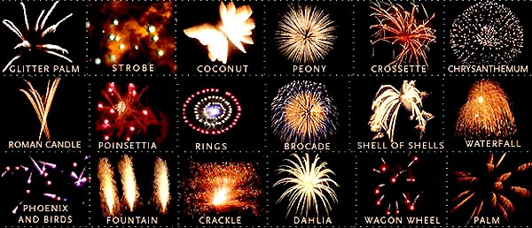 7 Pics Fireworks Names List And Pictures And Description Alqu Blog