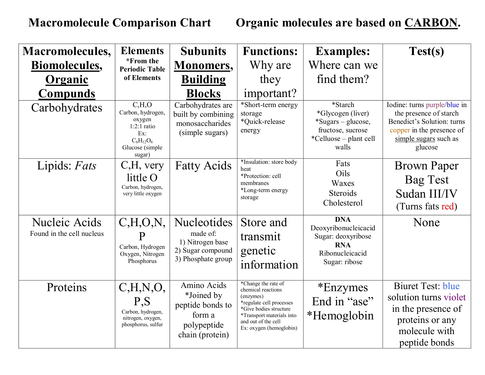 6-pics-macromolecule-comparison-table-answers-and-view-alqu-blog