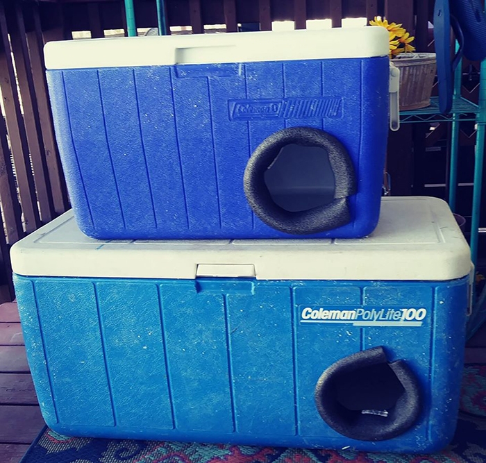 8 Photos Cooler Cat House And Review - Alqu Blog