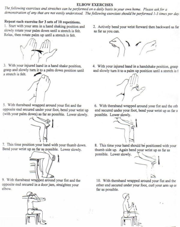 8 Images Seated Theraband Exercises For Seniors And Review Alqu Blog