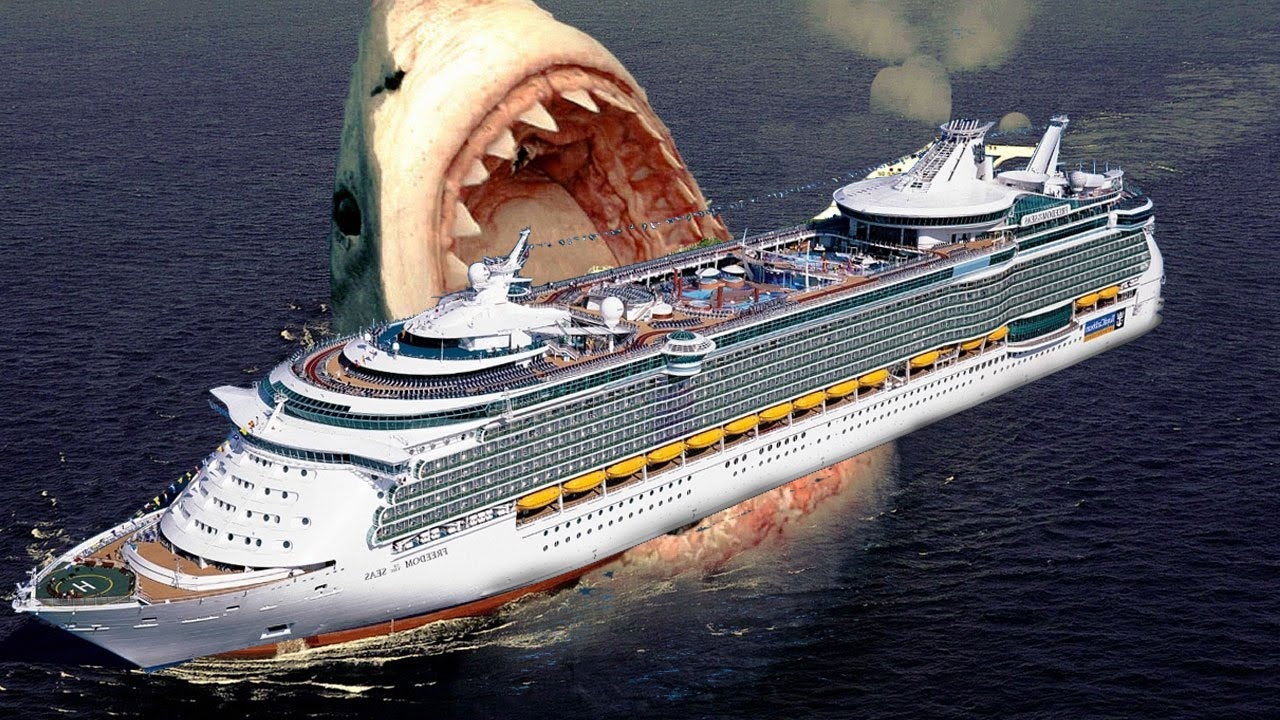 7 Photos Megalodon Facts For Kids And View - Alqu Blog