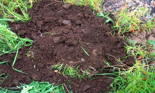 5 Photos Garden Soil In Philippines And Description - Alqu Blog