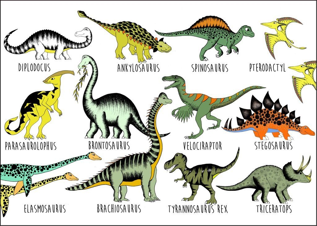 Different Types Of Dinosaurs Printables