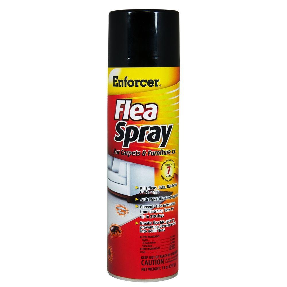 8 Photos Homemade Flea Spray For Carpet And Furniture And Review Alqu