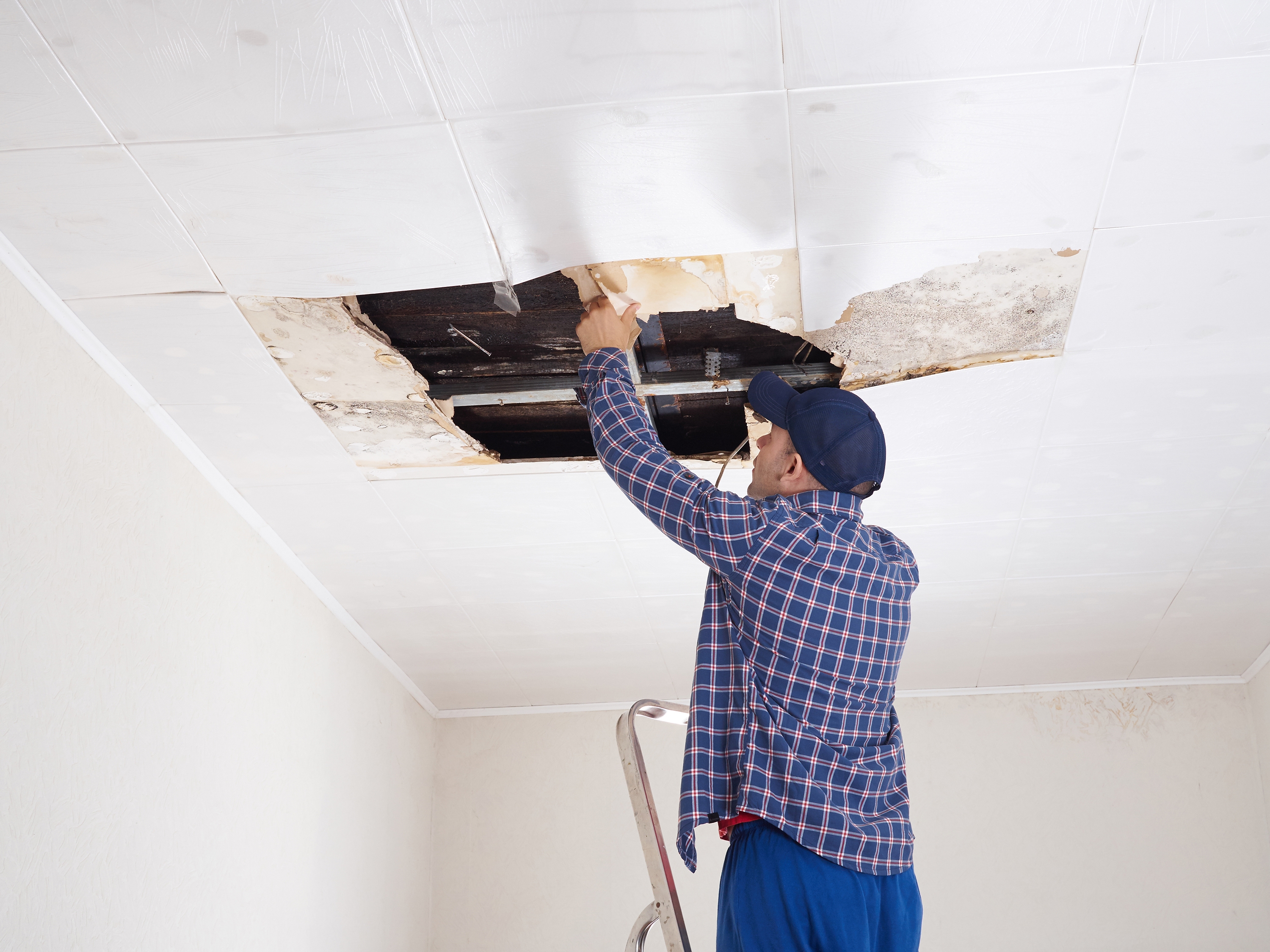 7 Pics How To Fill A Hole In Plasterboard Ceiling And Review - Alqu Blog