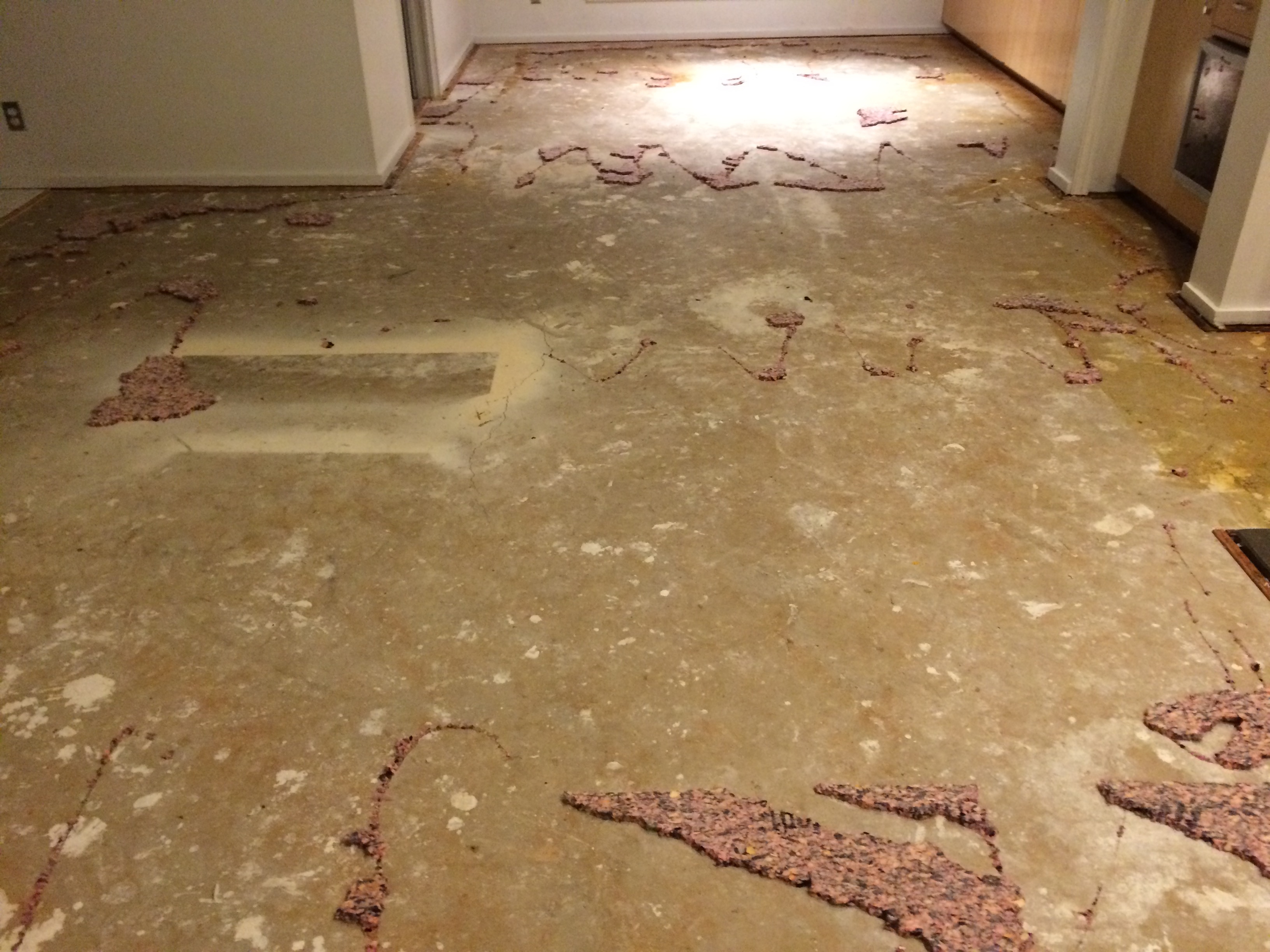 8 Images Removing Carpet Tack Strips From Asbestos Tile
