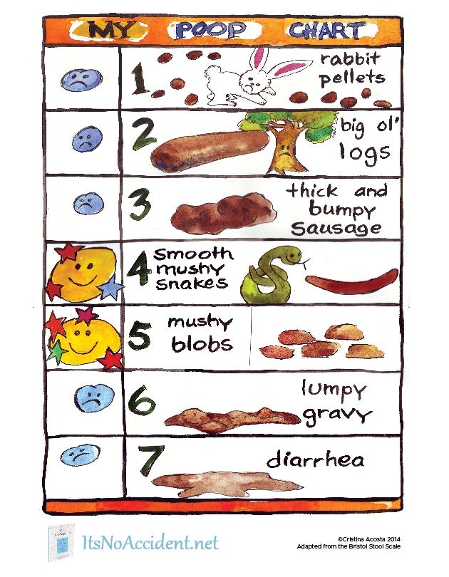 Bristol Stool Chart For Kids